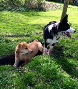 NoortMedia blog by Nienke Oort