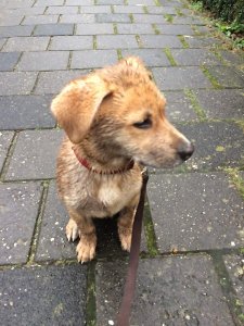 NoortMedia Blog by Nienke Oort