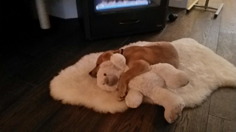 NoortMedia-Blog by Nienke Oort