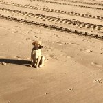 NoortMedia Contentspecialist