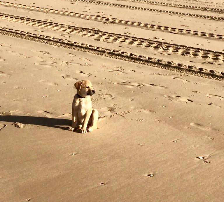 NoortMedia Contentspecialist