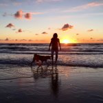 Hond als spiegel van jezelf