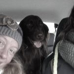 wandelen met jachtinstinct