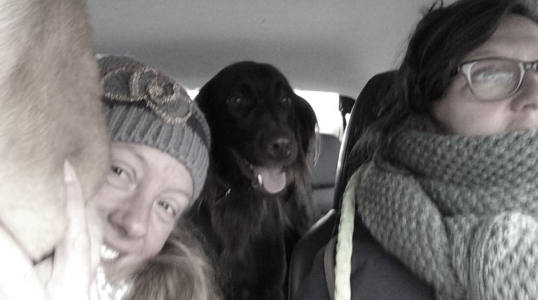 wandelen met jachtinstinct